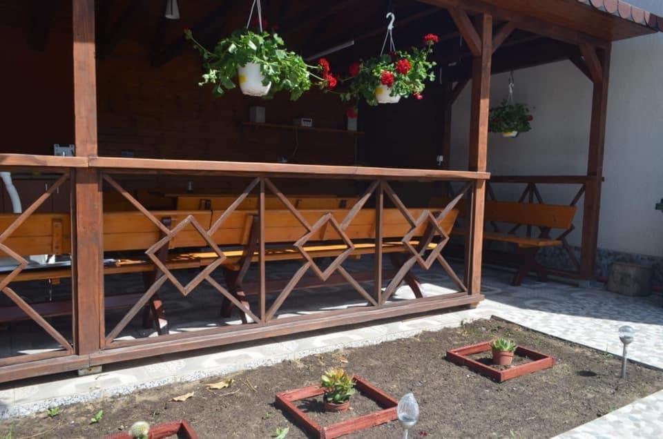 Pensiunea Savas Costinesti Exterior foto
